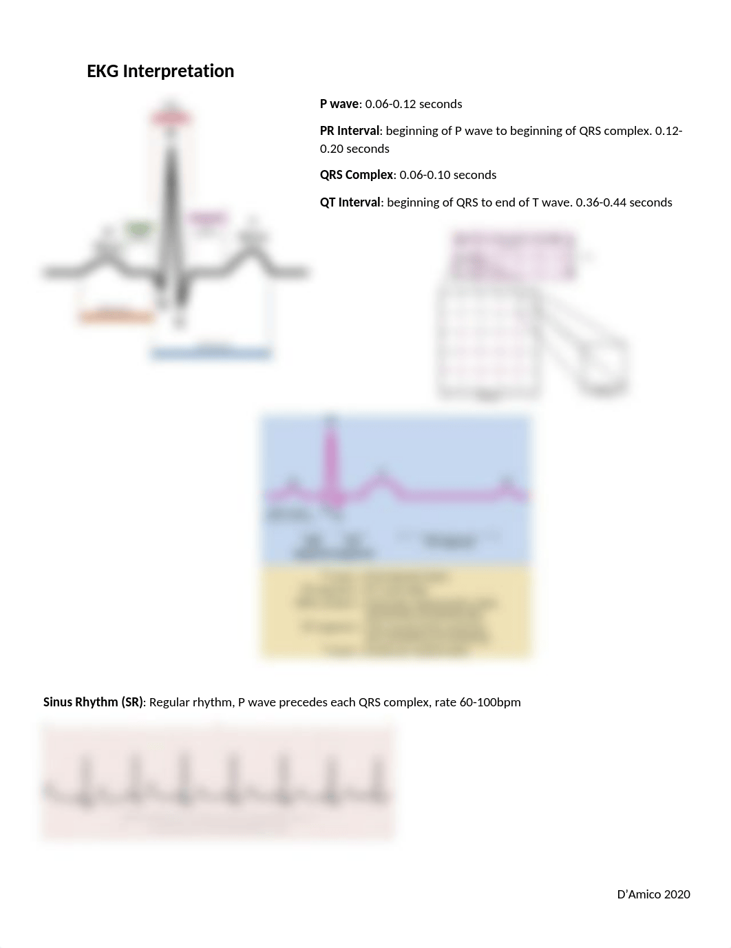 EKG Interpretation.docx_ddm14fmes5b_page1