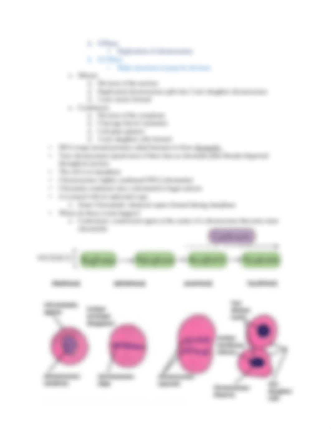 Biology Test Review, DNA.pdf_ddm1vnis4ay_page4