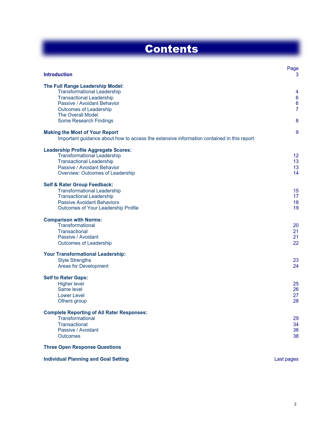 MLQ_Sample_Explanation_ddm4mp0zan5_page2