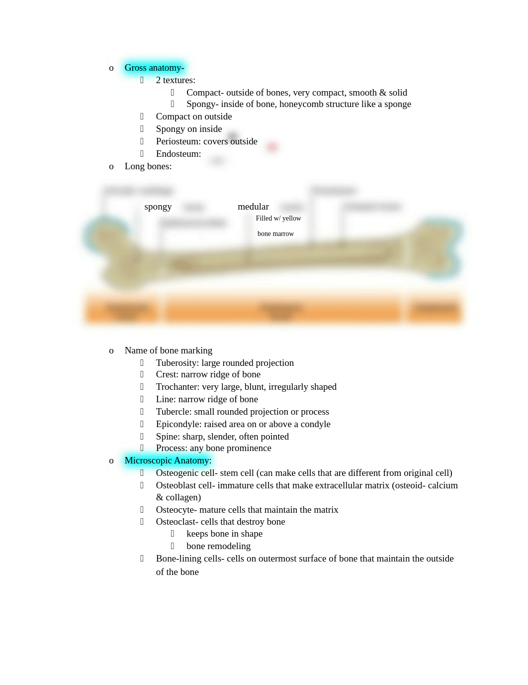 Anatomy.docx_ddm66csvyfo_page2