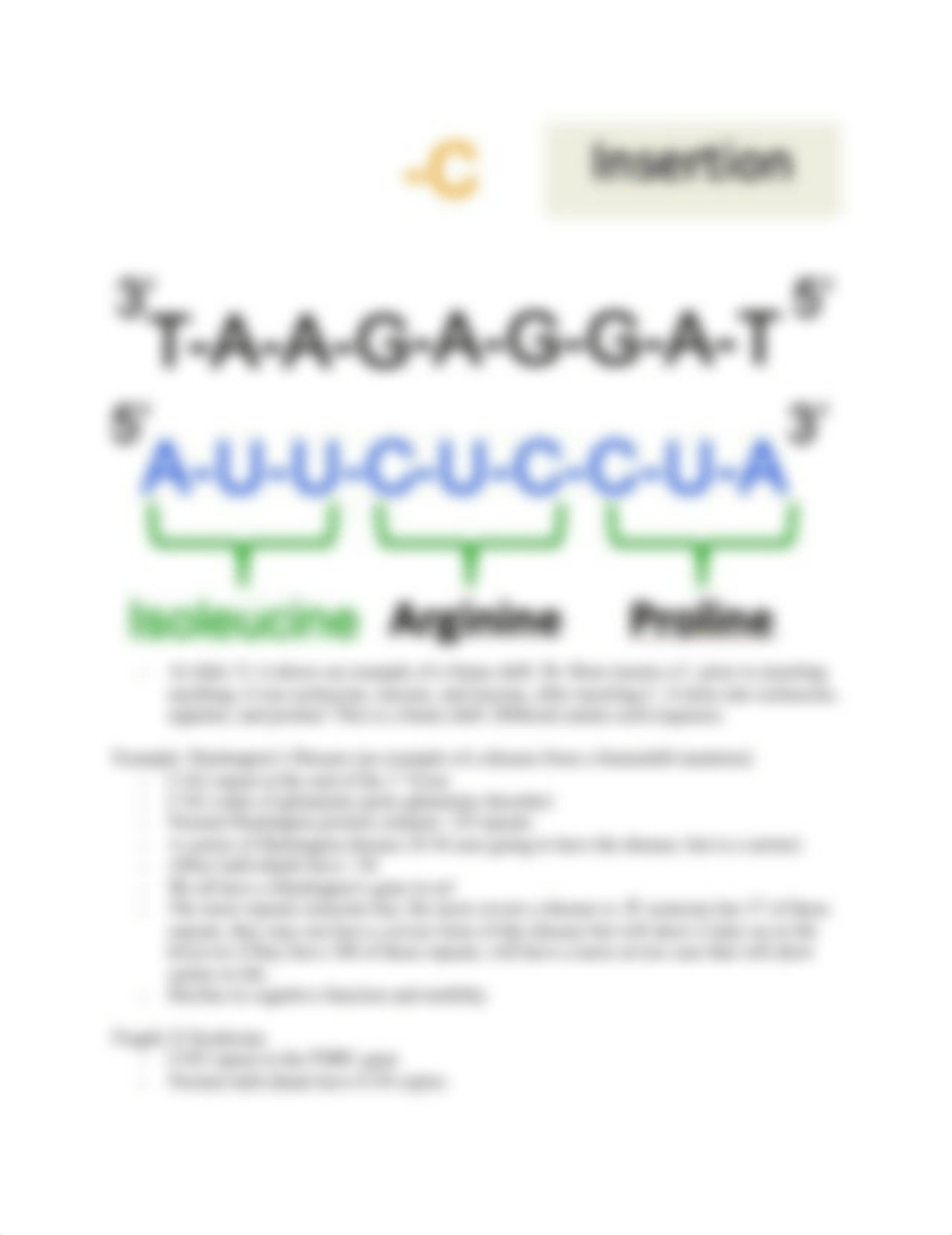 Mutations and DNA repair.docx_ddmbmhlvx0g_page4