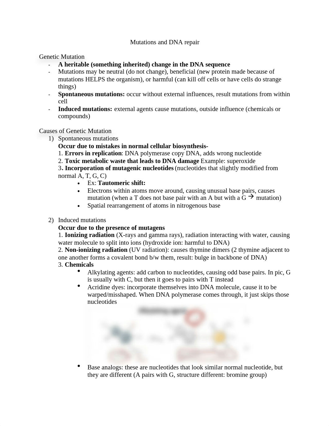 Mutations and DNA repair.docx_ddmbmhlvx0g_page1