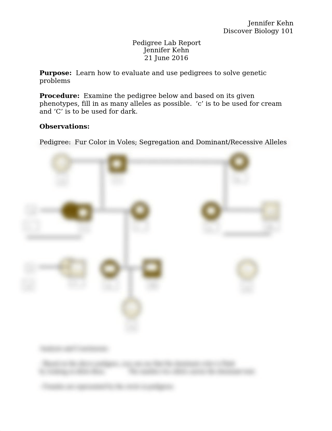 Pedigree Lab Report_ddmf7hlvnh7_page1