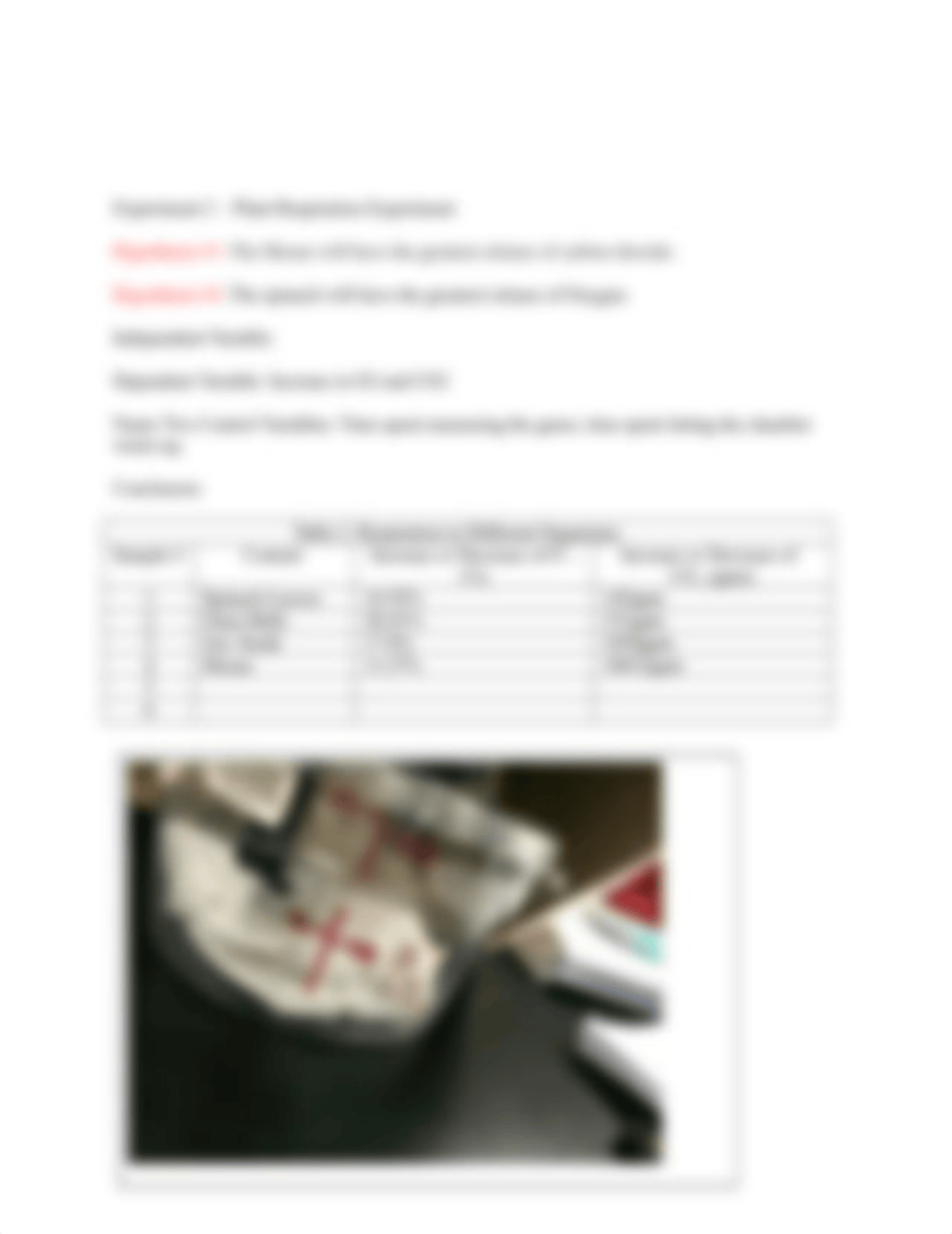 Fermentation Worksheet
(Type in the blanks and submit this worksheet t_ddmhzxvosuf_page2