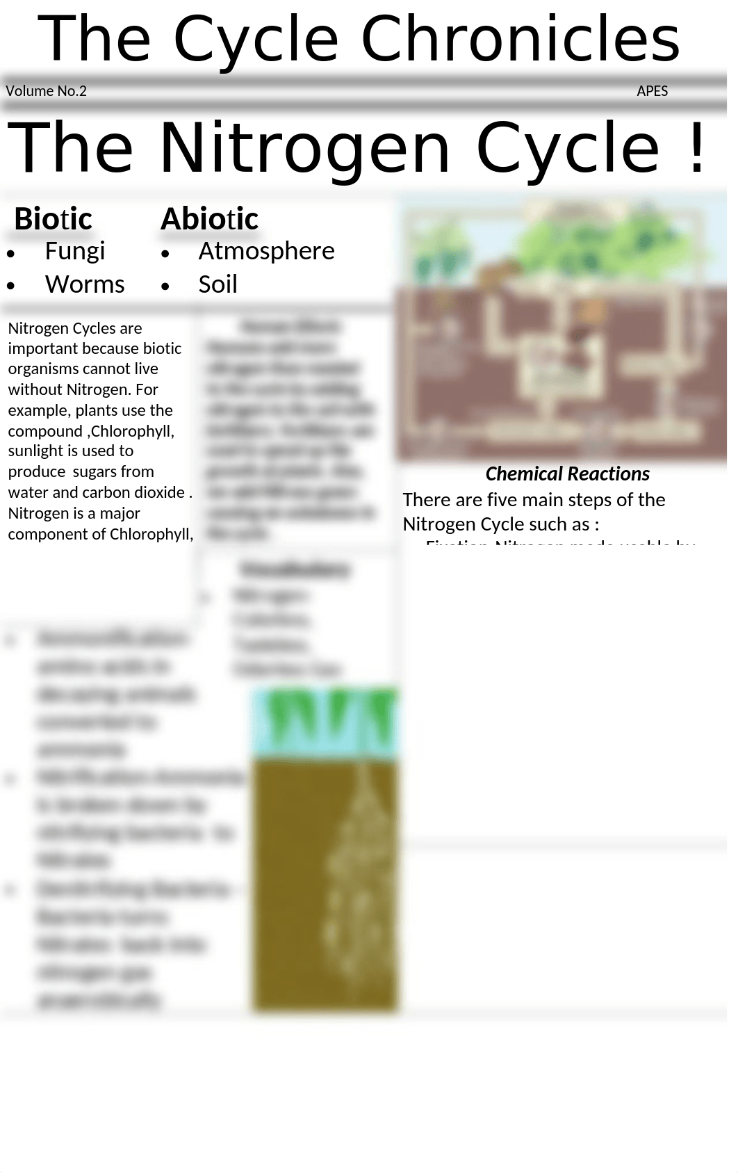 The nitrogen cycle.pptx_ddmod9awrle_page1