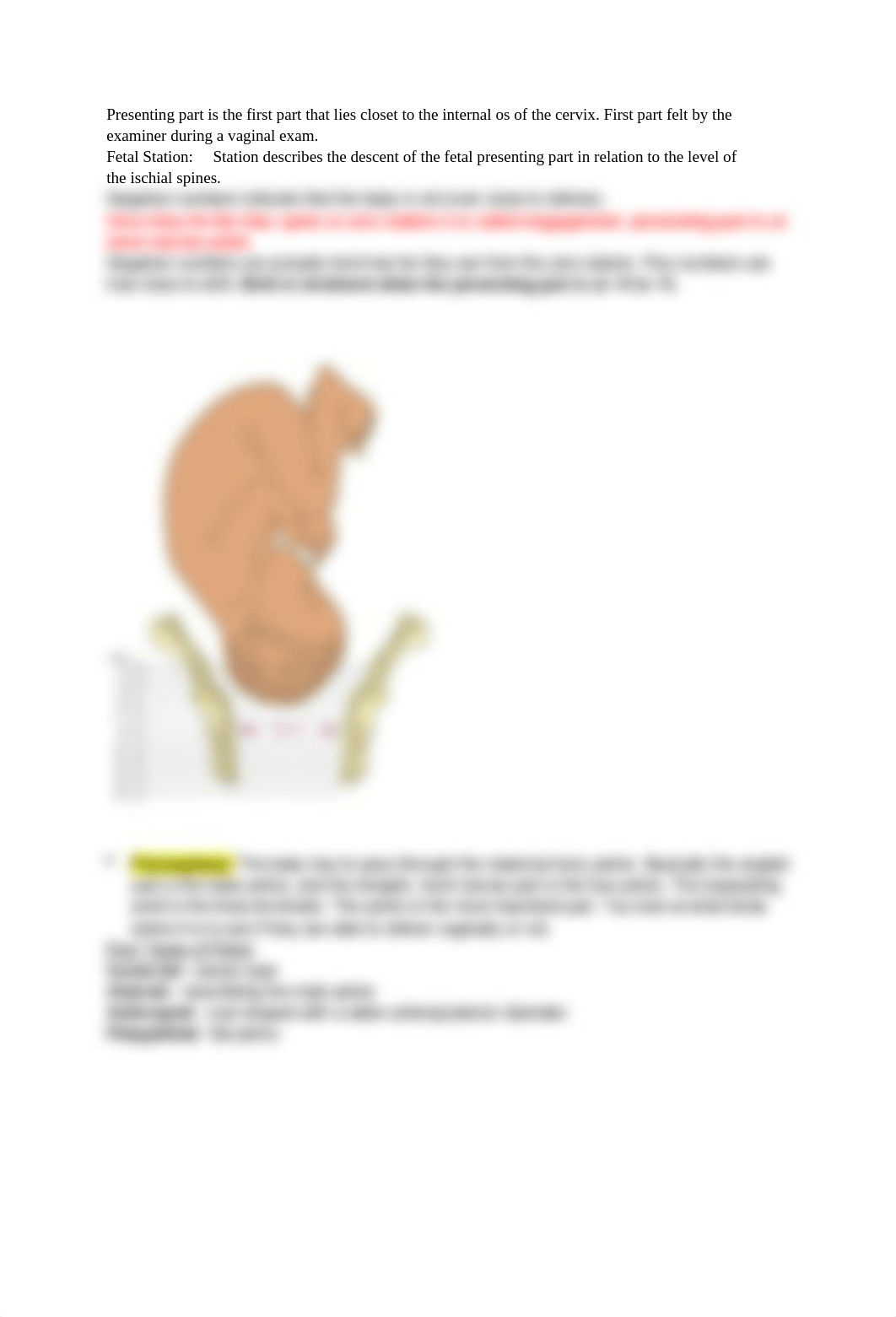 Maternity Test 2.docx_ddmtqdmpidb_page3