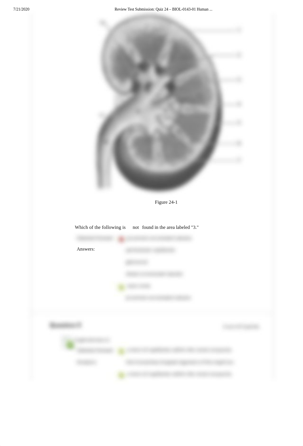 Review Test Submission_ Quiz 24 - BIOL-0143-01 Human .._.pdf_ddn1bbiexia_page3