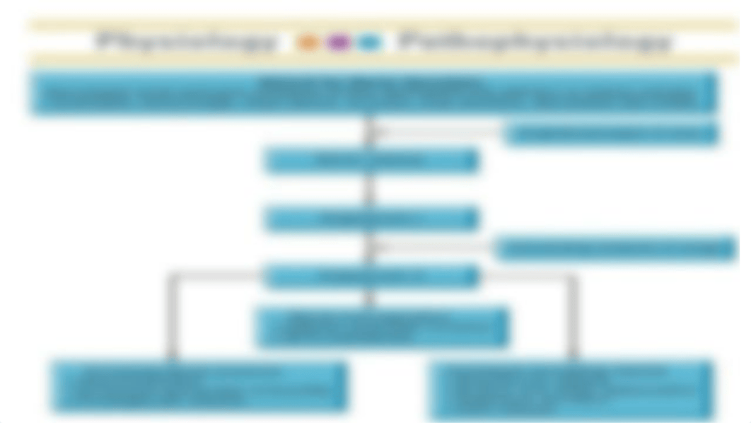 A____Assessment of Kidney and Urinary Function (1).pptx_ddn4qqctzr9_page5