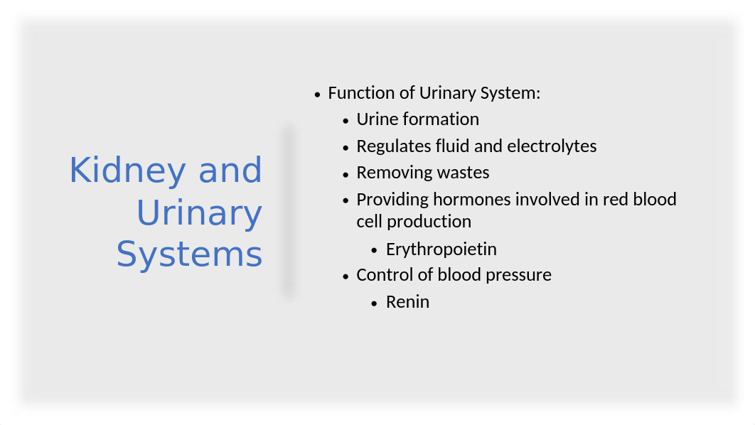 A____Assessment of Kidney and Urinary Function (1).pptx_ddn4qqctzr9_page4