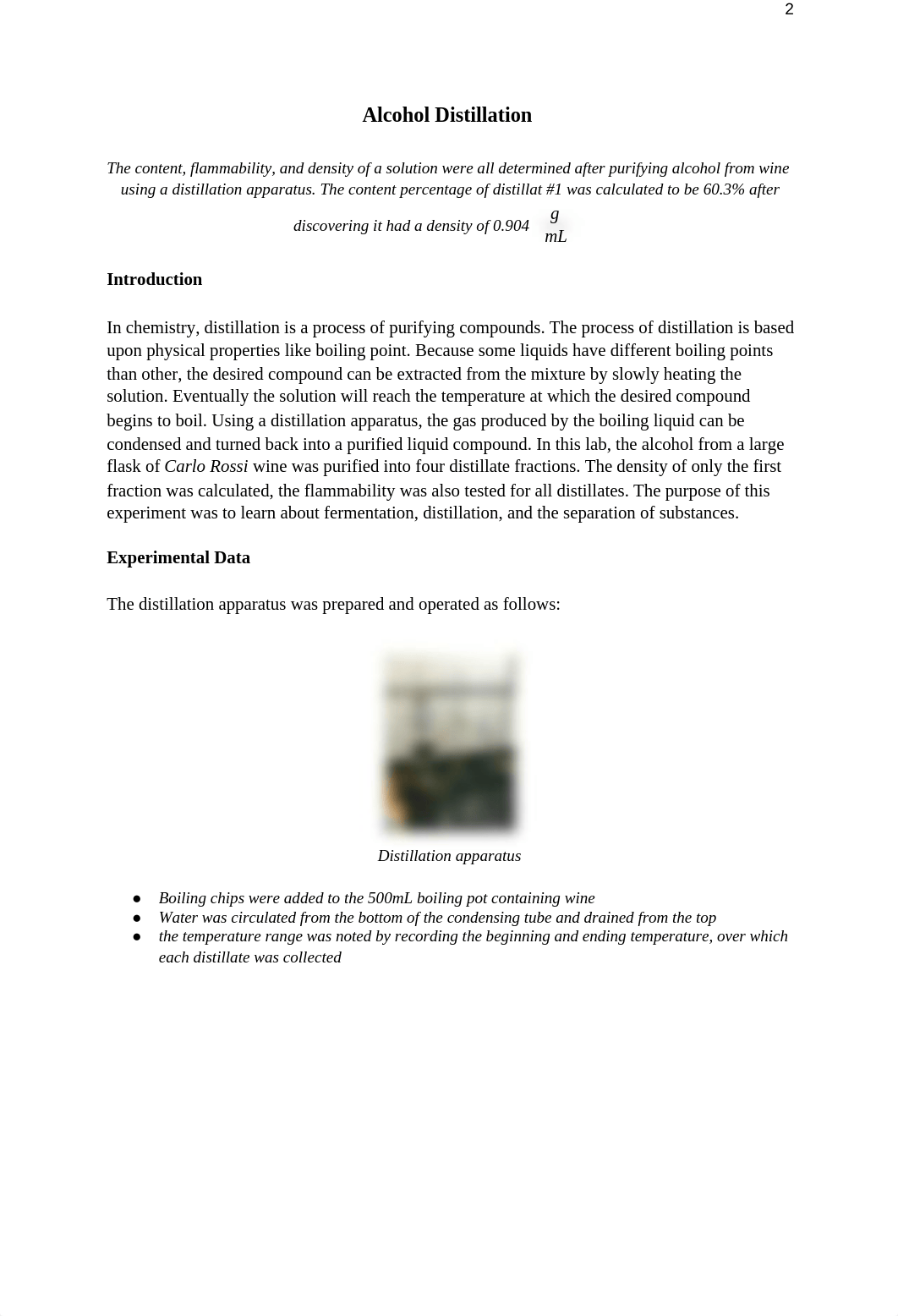 lab report 3 .docx_ddn6hvwuit3_page2