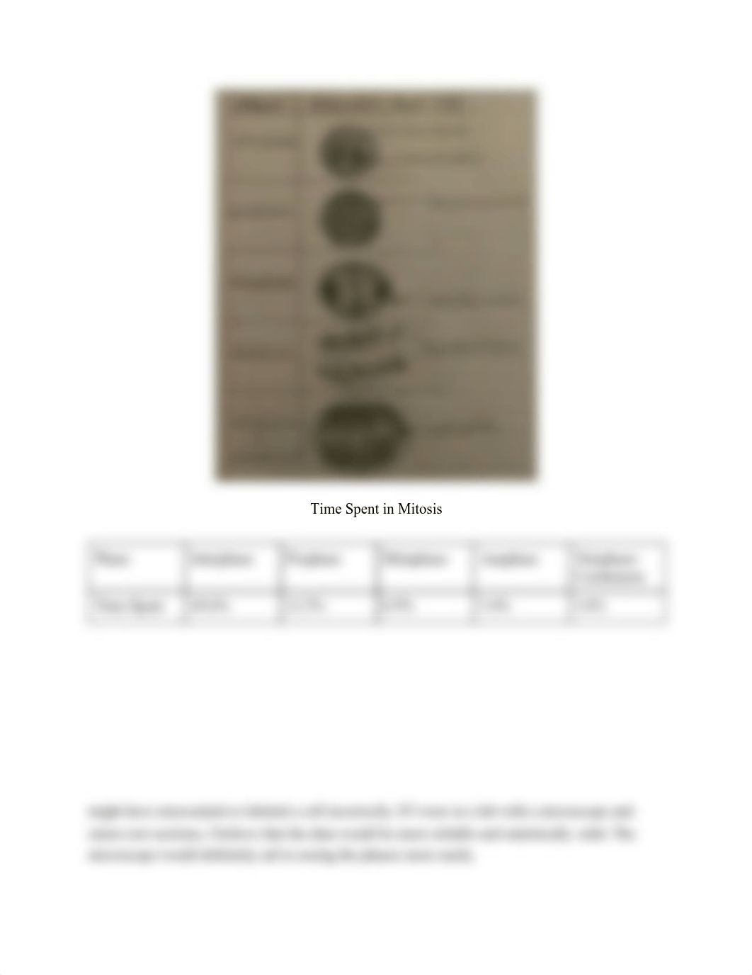 11-8 Lab Time_ Investigating Mitosis in Onion Root Tip Cells.pdf_ddn8a4bzvuv_page2