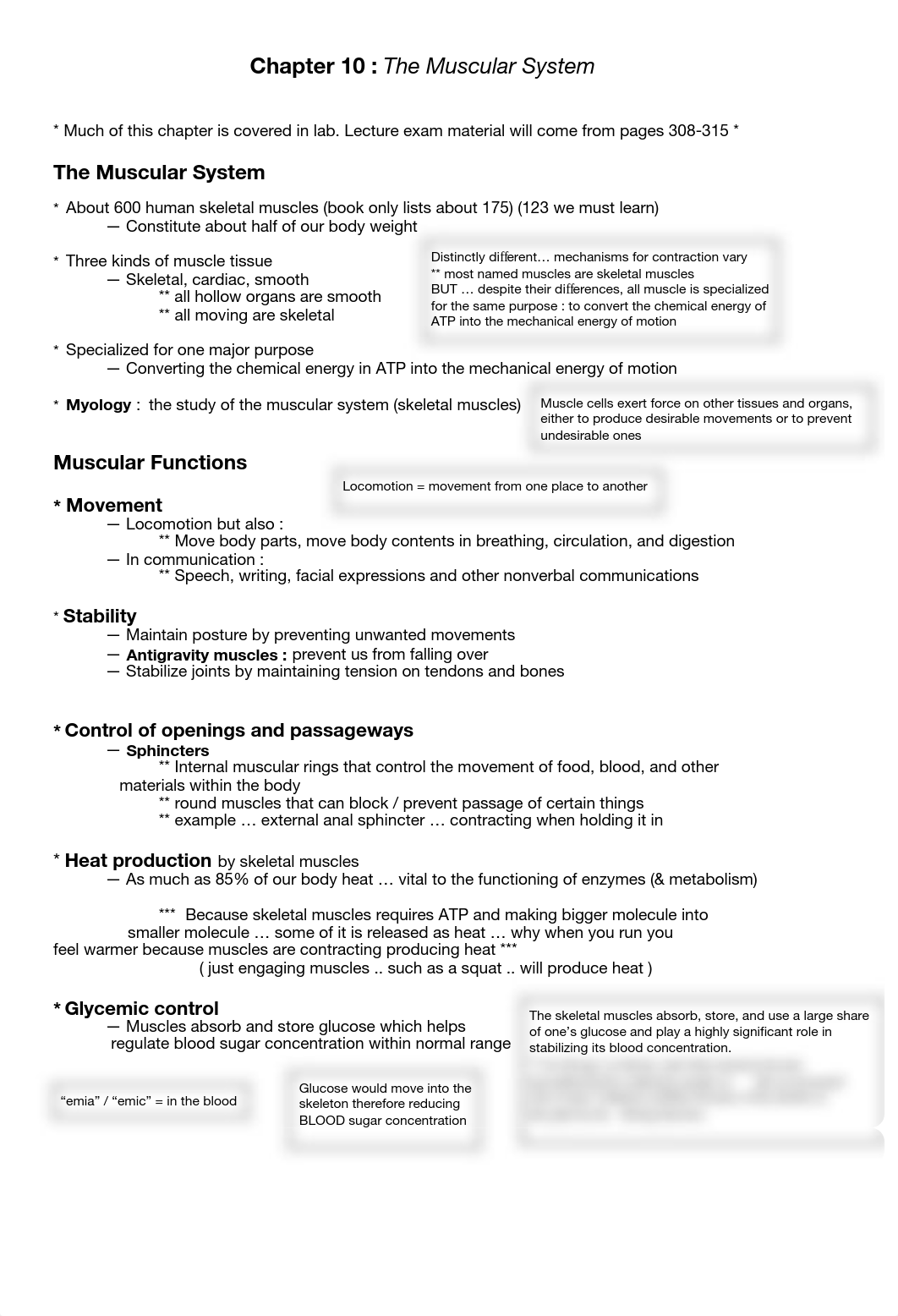 Chapter 10 - The Muscular System .pdf_ddn8fx97kty_page1