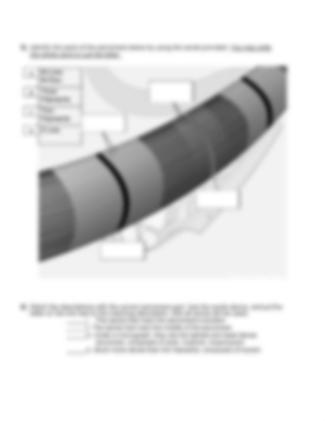 Extra Credit Worksheet on Muscle Anatomy.._.pdf_ddnaixee7hq_page4