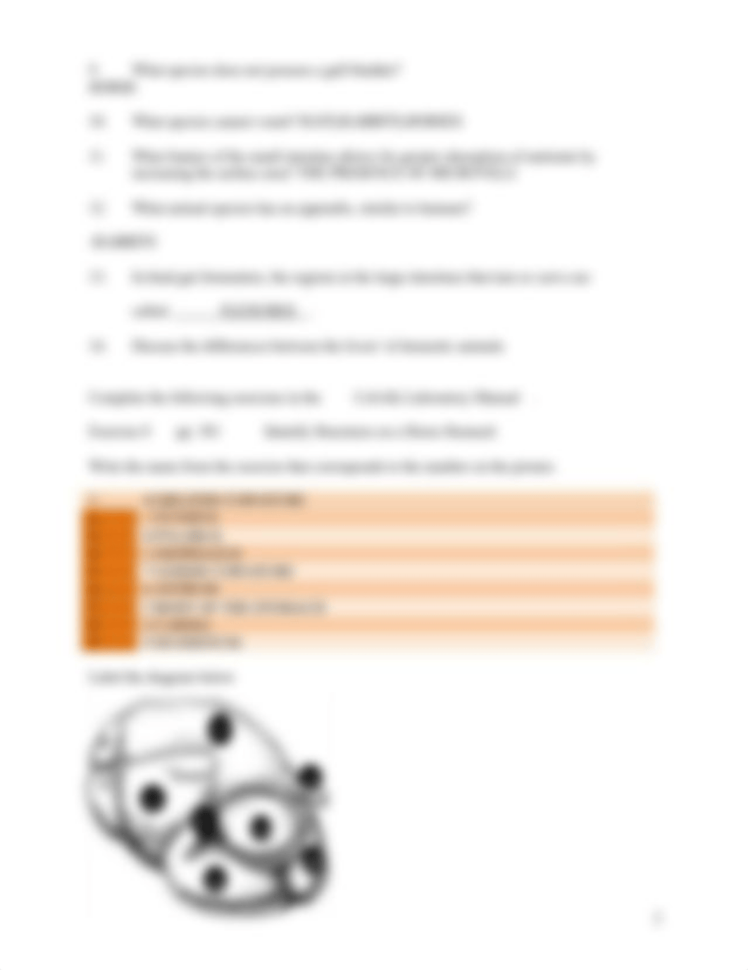 ASSN 12.1 DISSECTING THE DIGESTIVE SYSTEM (1).docx_ddnc2ybztnz_page2