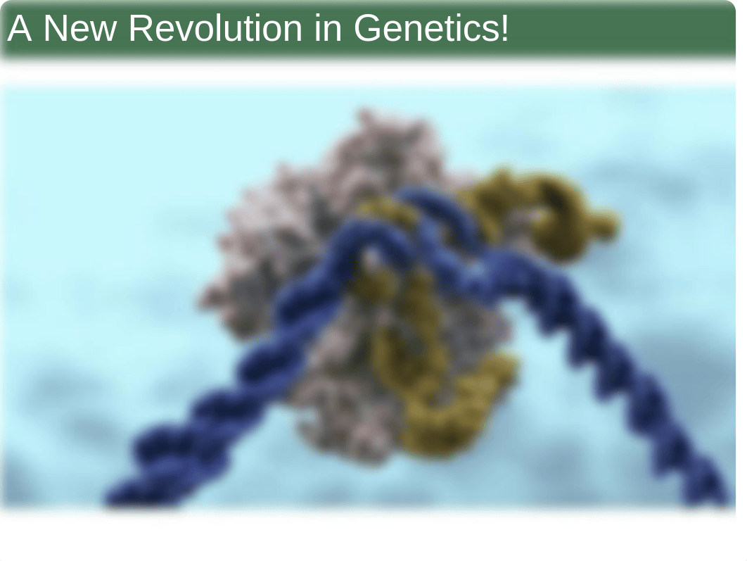 Spring 20-Chapter 7 (CRISPR).ppt_ddnckvxcs52_page2