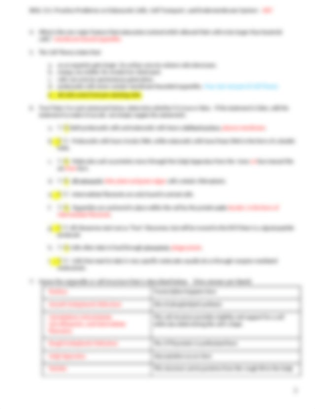 7 Eukaryotic Cells, Cell Transport, & Endomembrane System KEY (2).docx_ddndu37l4qs_page2