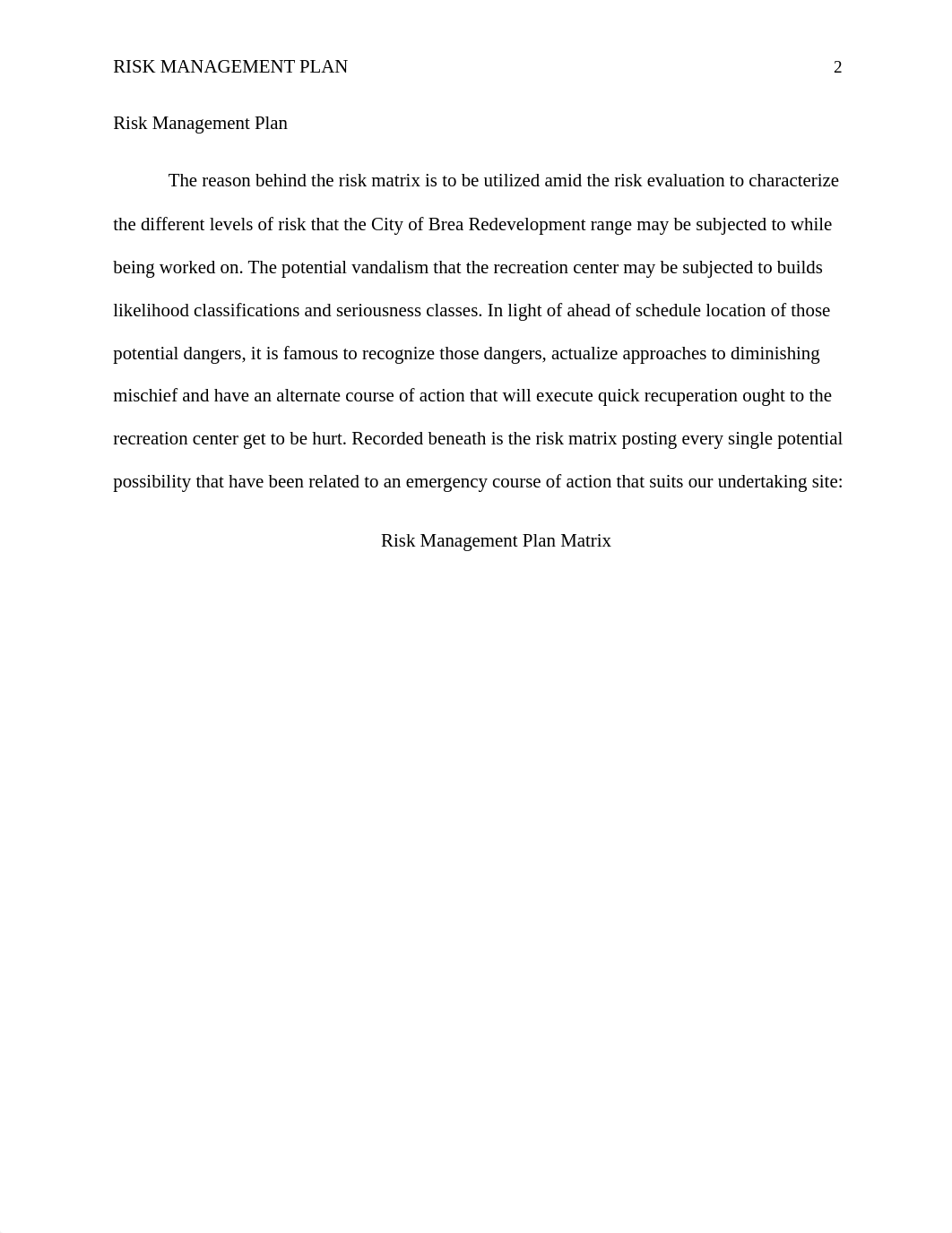 Week 5_Risk Management Plan_ddnj8td5825_page2