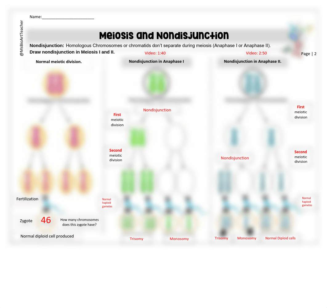 nondisjunction_teacher answer key.pdf_ddnzt8ljdw7_page2