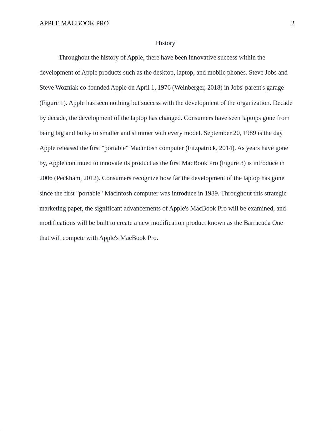 Individual Strategic Marketing Paper.docx_ddo46h2duhp_page2