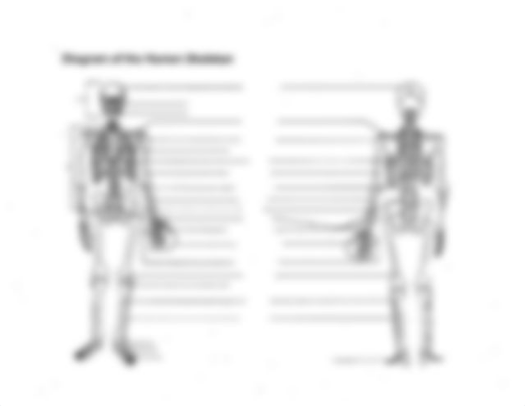 Axial Skeleton.pdf_ddofjei8fab_page5