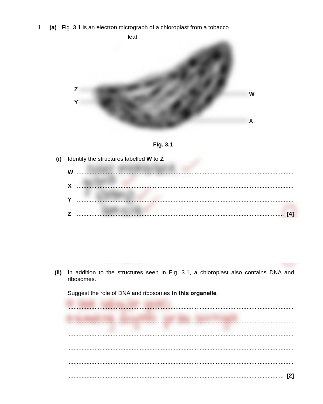 Photosynthesis 2 QP.pdf_ddojvjpvpz2_page1