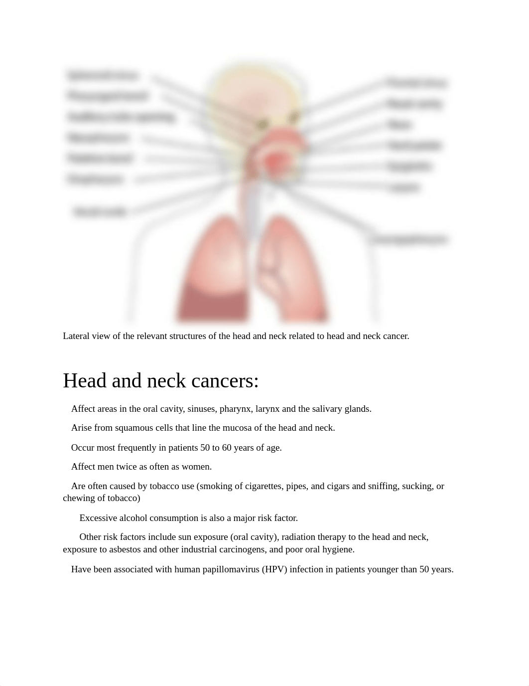 Week 4 Assignment 1.docx_ddp70ks3pbc_page2