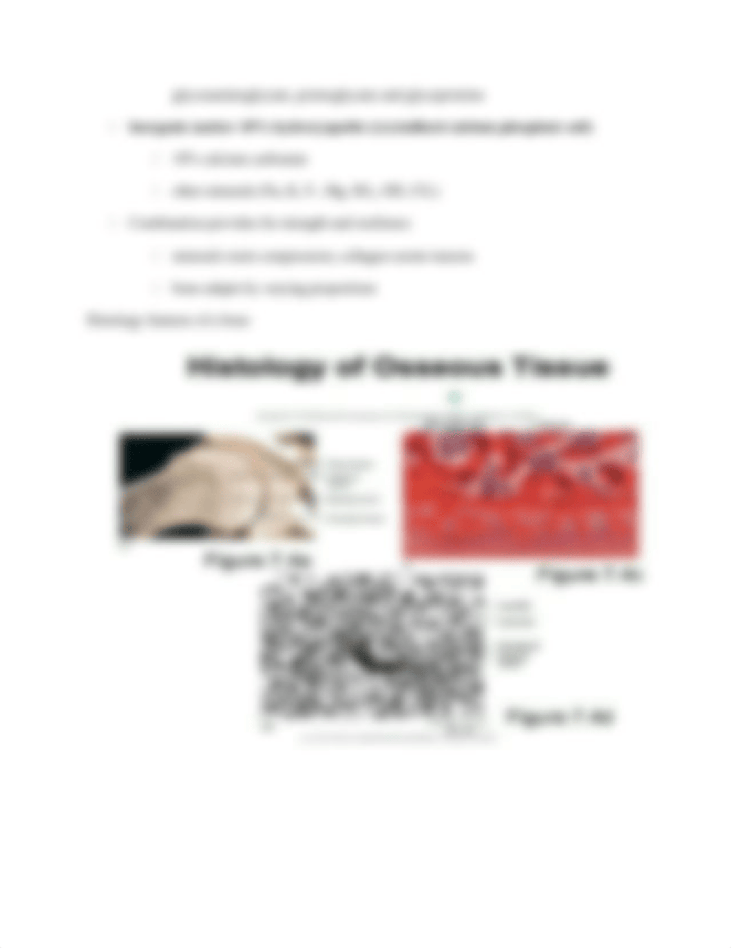 Anatomy- Study guide for Chapter 7_ddphomytiah_page4