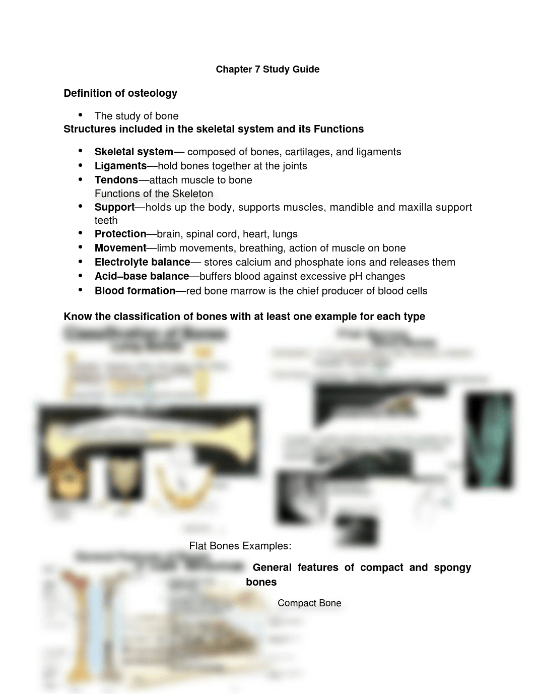 Anatomy- Study guide for Chapter 7_ddphomytiah_page1