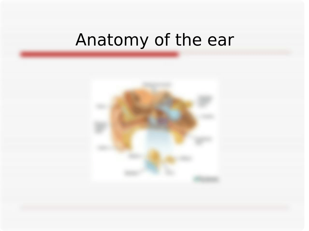 Ear%20assessment 340 test 3_ddpj3kngudz_page3