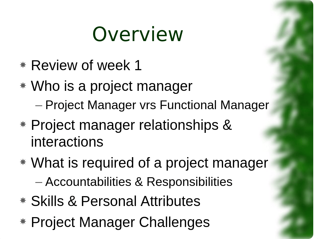 Topic 2- Day 1, Project Manager Competencies.ppt_ddpwz34qoig_page2