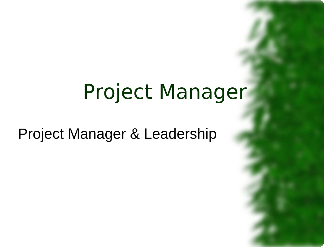 Topic 2- Day 1, Project Manager Competencies.ppt_ddpwz34qoig_page1