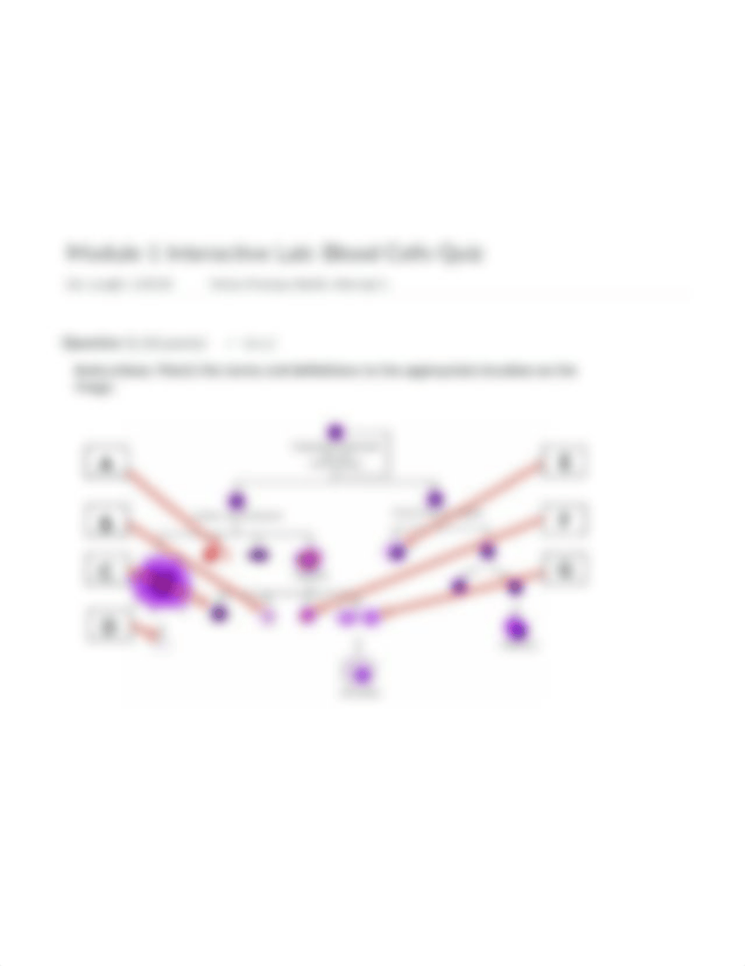 Module 1 Interactive Lab Blood Cells Quiz.png_ddqc72be1u1_page1