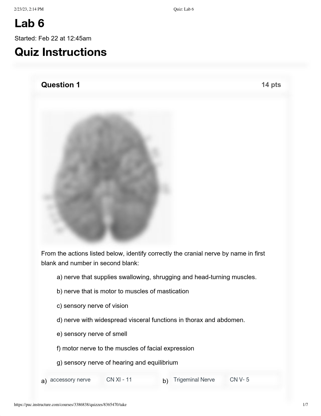 Quiz__Lab_6.pdf_ddqh6o2urft_page1