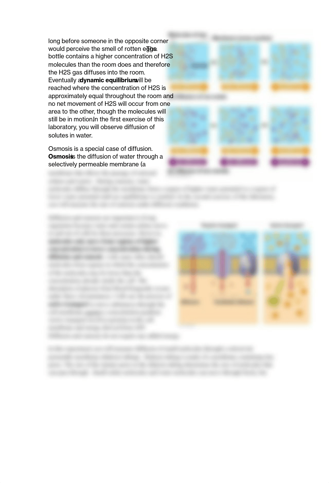 BIOL_110_LAB_diffusion_Osmosis.pdf_ddqvwxvbq8l_page2