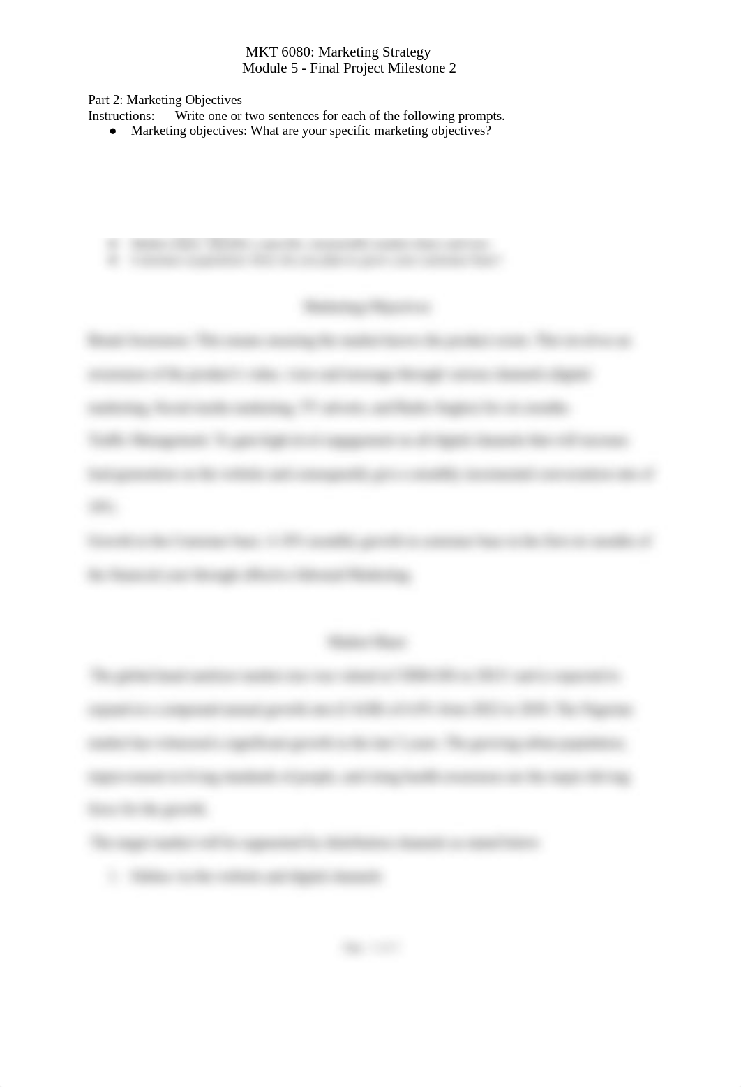 MKT_6080_Final_Project_Milestone_2_Worksheet.docx_ddqzyjb06ly_page2