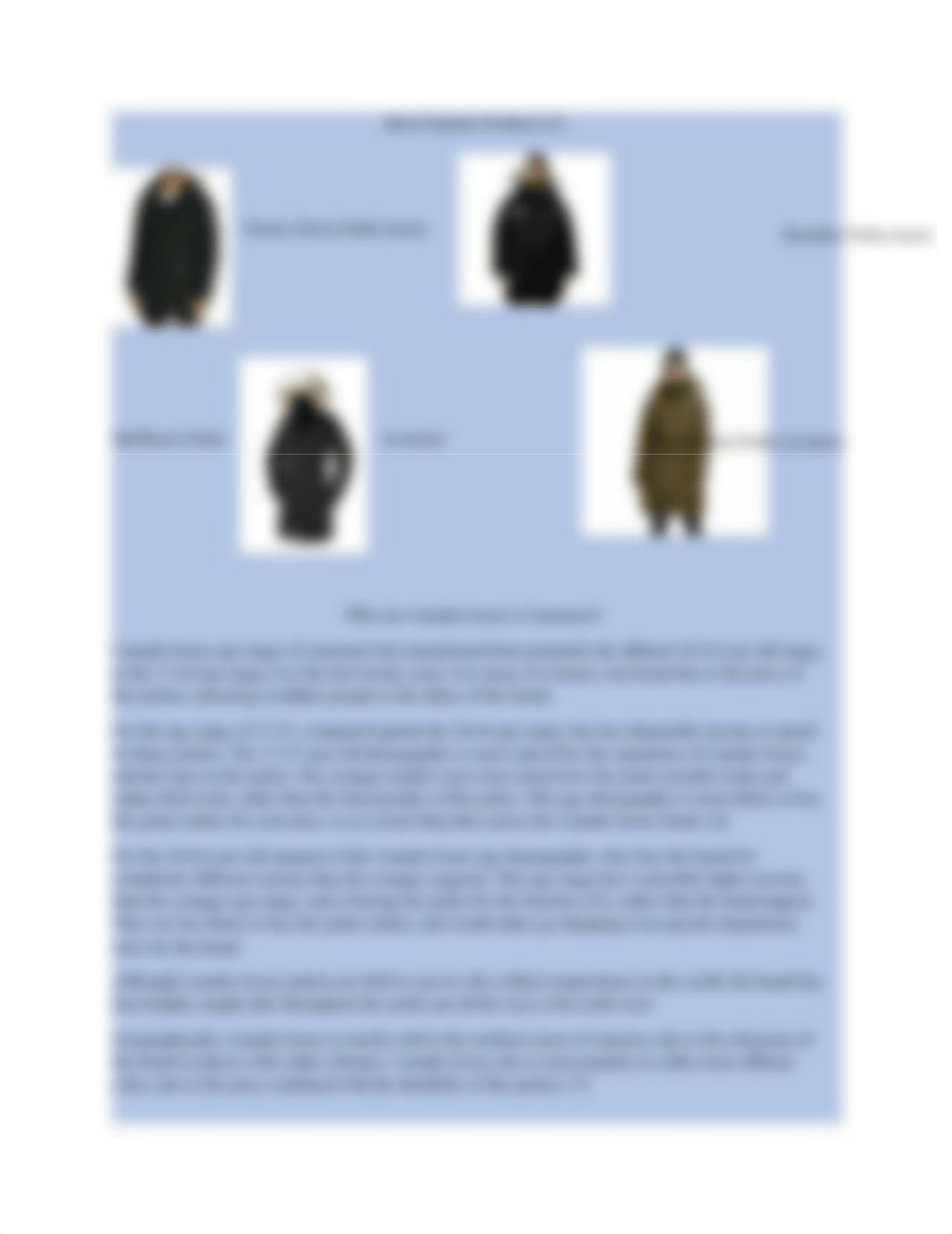 Canada Goose.docx_ddr6t73gdxn_page3