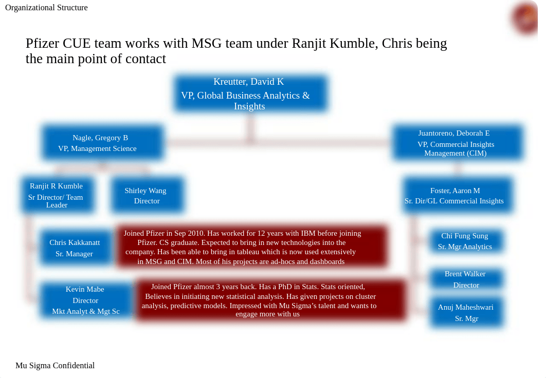 Pfizer CUE - Mu Sigma Engagement Details 01242012.pptx_ddrf1pnr6ju_page4