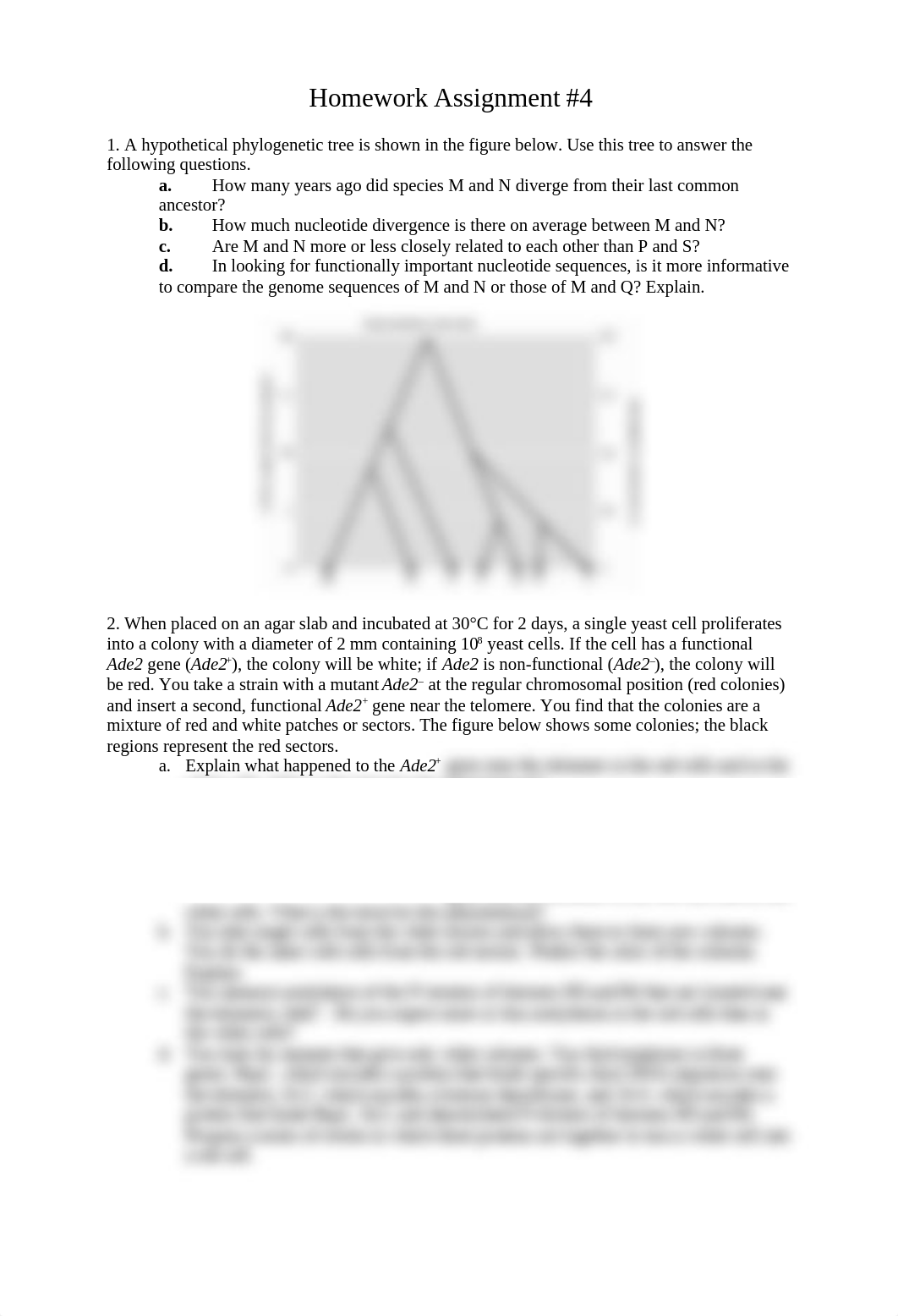 Homework #4.doc_ddrjx1clbl7_page1