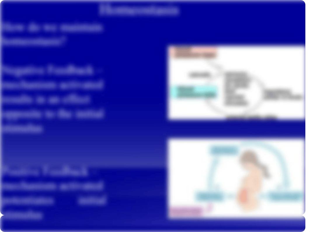 Week 1 - 2Homeostasis.pptx_ddrl5jjgfbt_page4