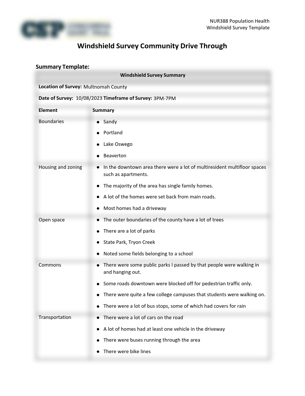 Windshield Survey Summary Template (1).pdf_ddrq7olm9m9_page1