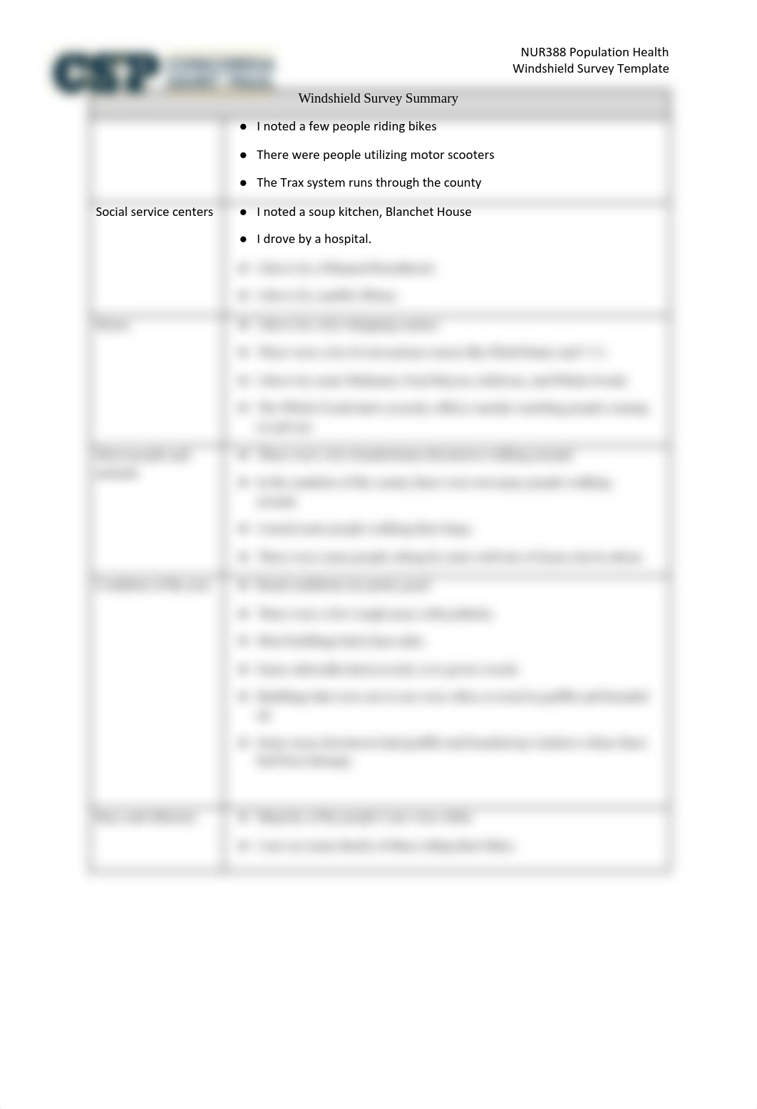 Windshield Survey Summary Template (1).pdf_ddrq7olm9m9_page2