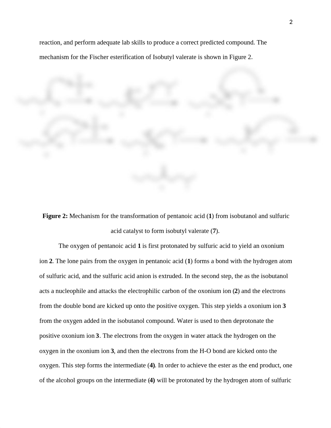 Fischer Esterification Lab Report.docx_ddrtdq1i34j_page2