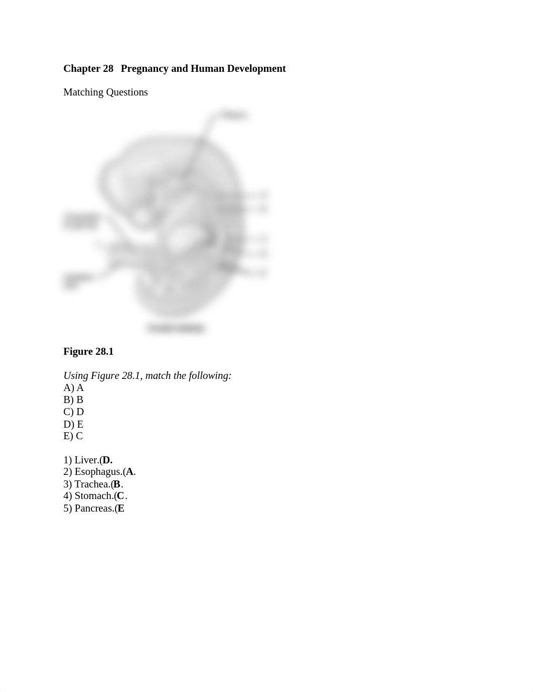 Bio chapter 28 test .docx_ddru4fp1f1v_page1