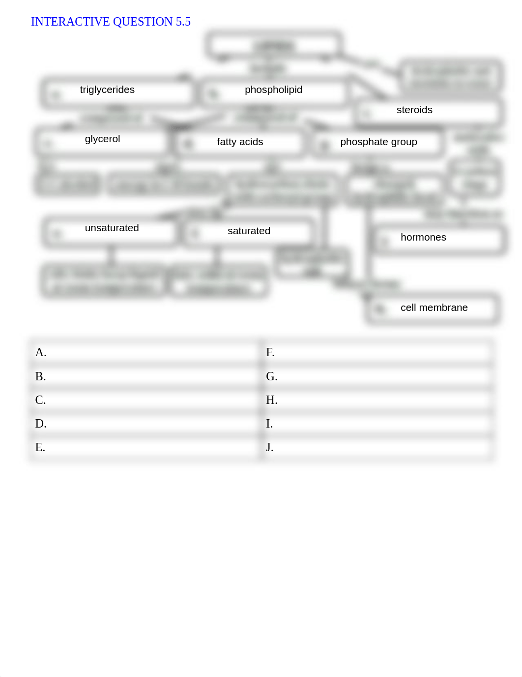 Coffman_InteractiveNotesCh.5.pdf_ddrwqy8jc95_page2