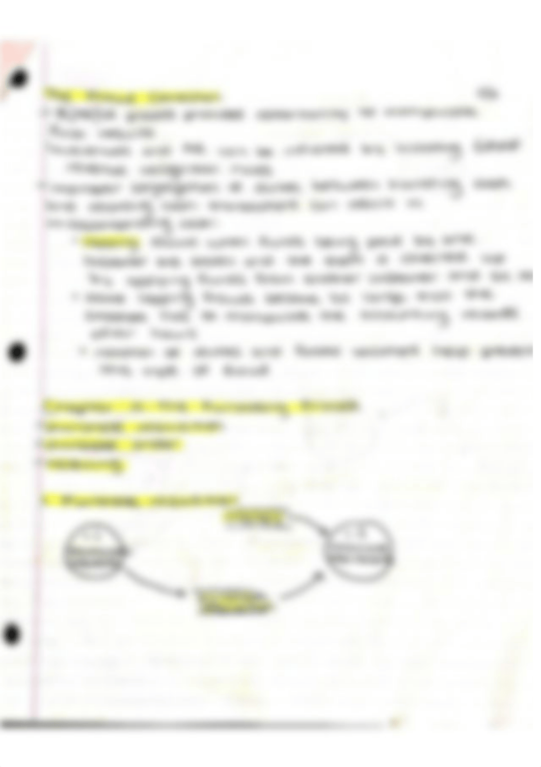 The fraud connection and cash protection notes_ddse9hr3iax_page1