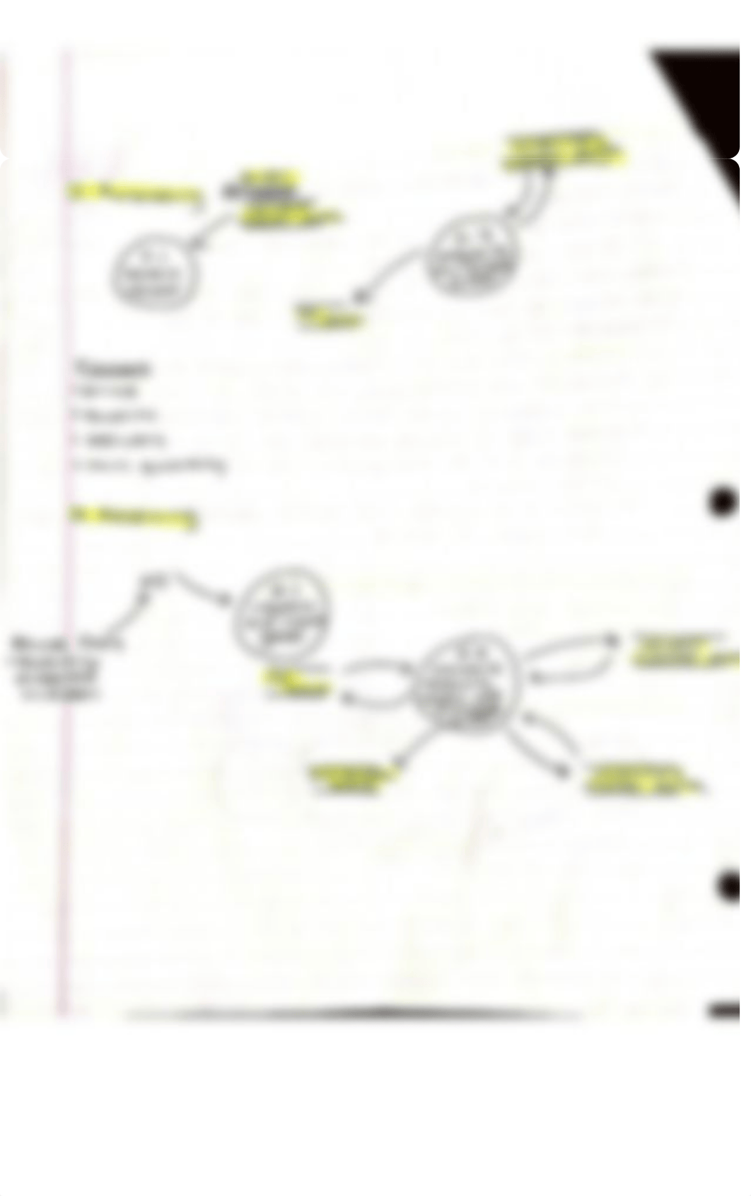 The fraud connection and cash protection notes_ddse9hr3iax_page2