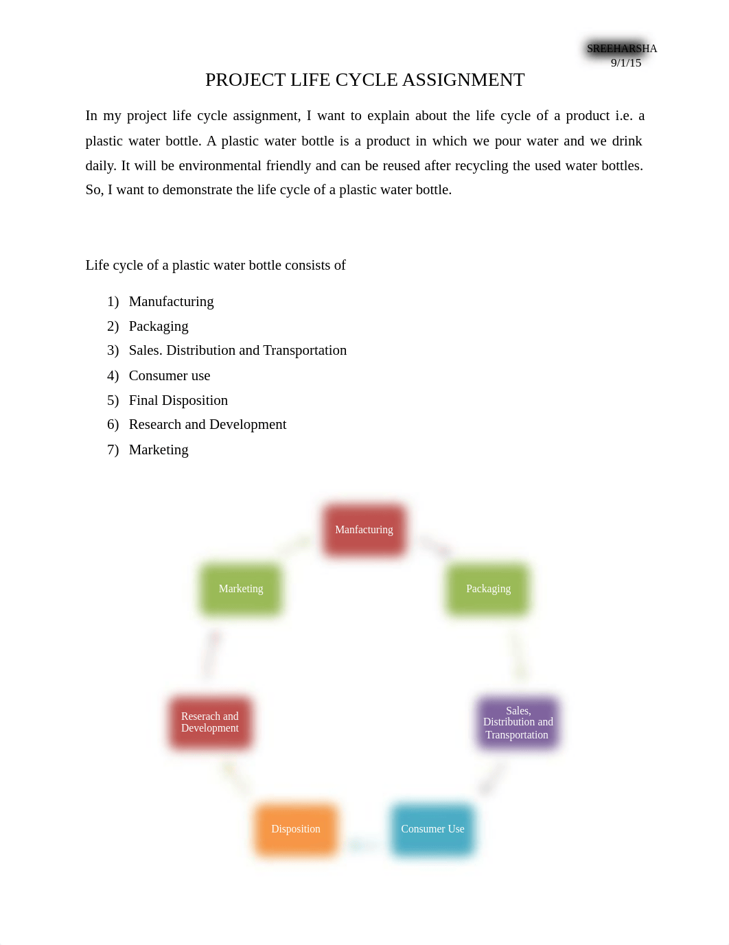 Project+Life+Cycle+Assignment+-+EXAMPLE.pdf_ddsfc7cckta_page1