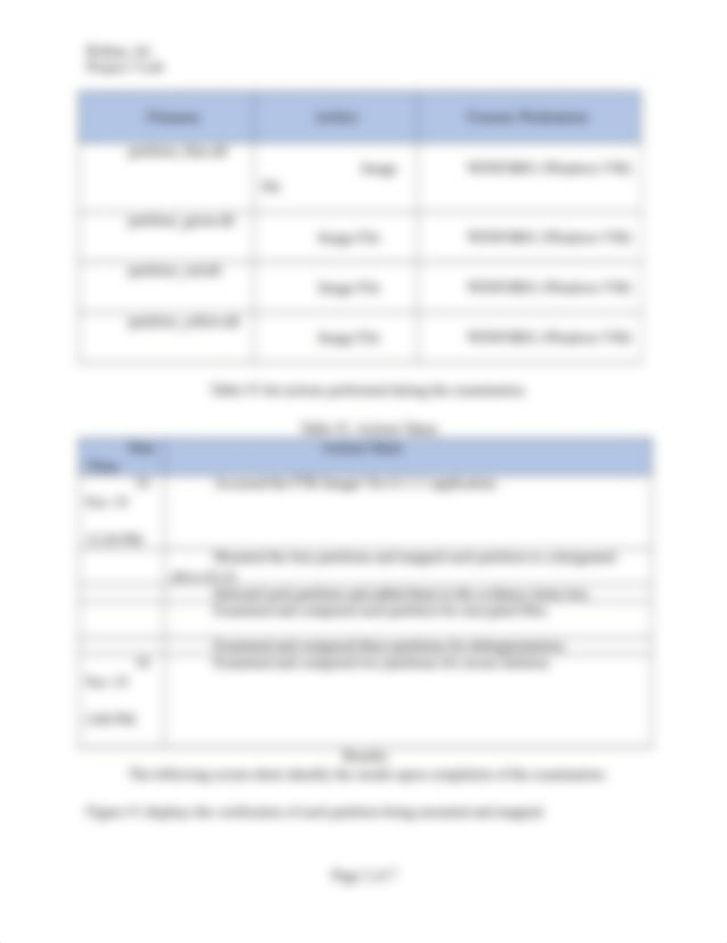 Examine Evidence Partitions Lab Report.docx_ddshdl73qlq_page2