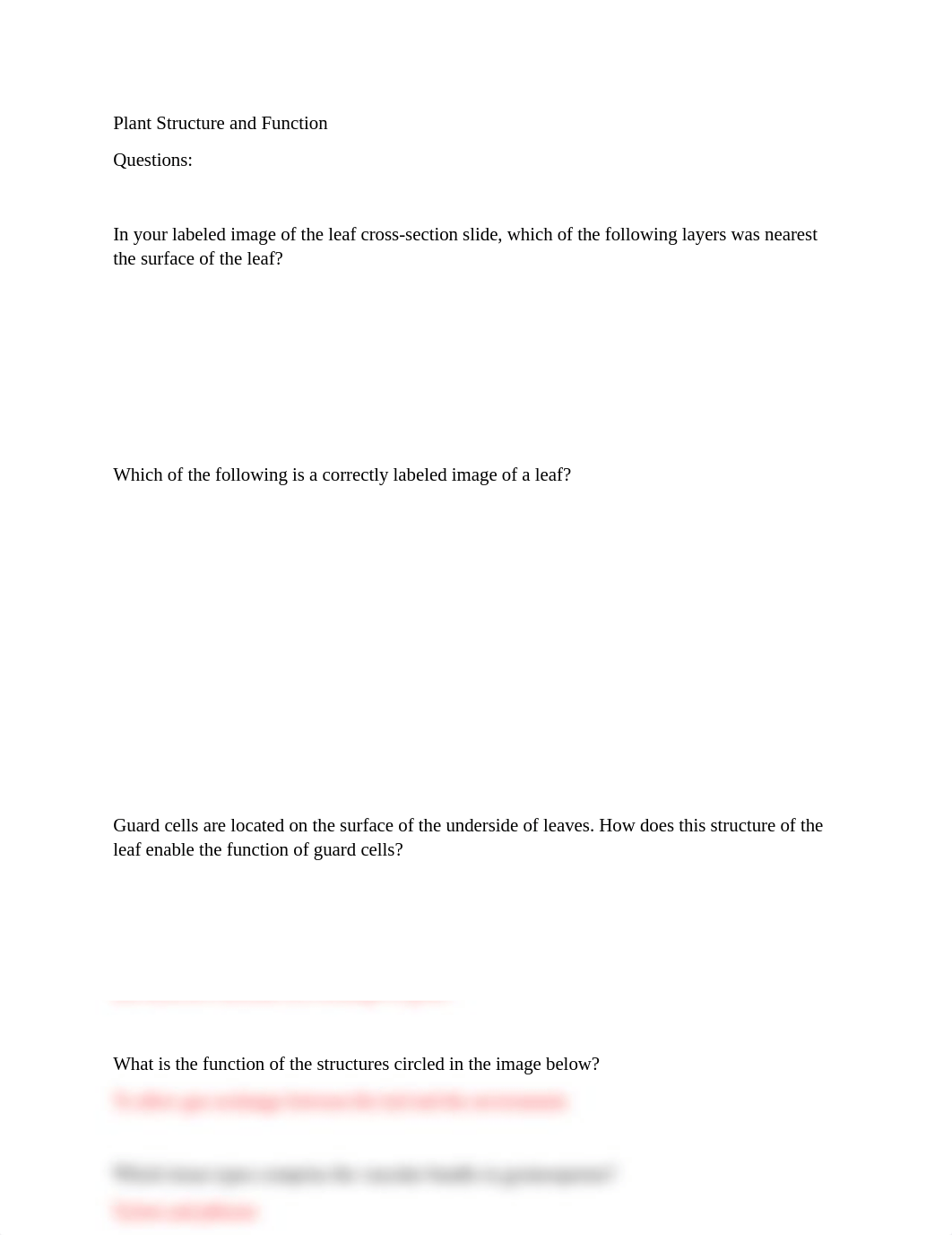 Assignment.docx_ddslxxh93pl_page1