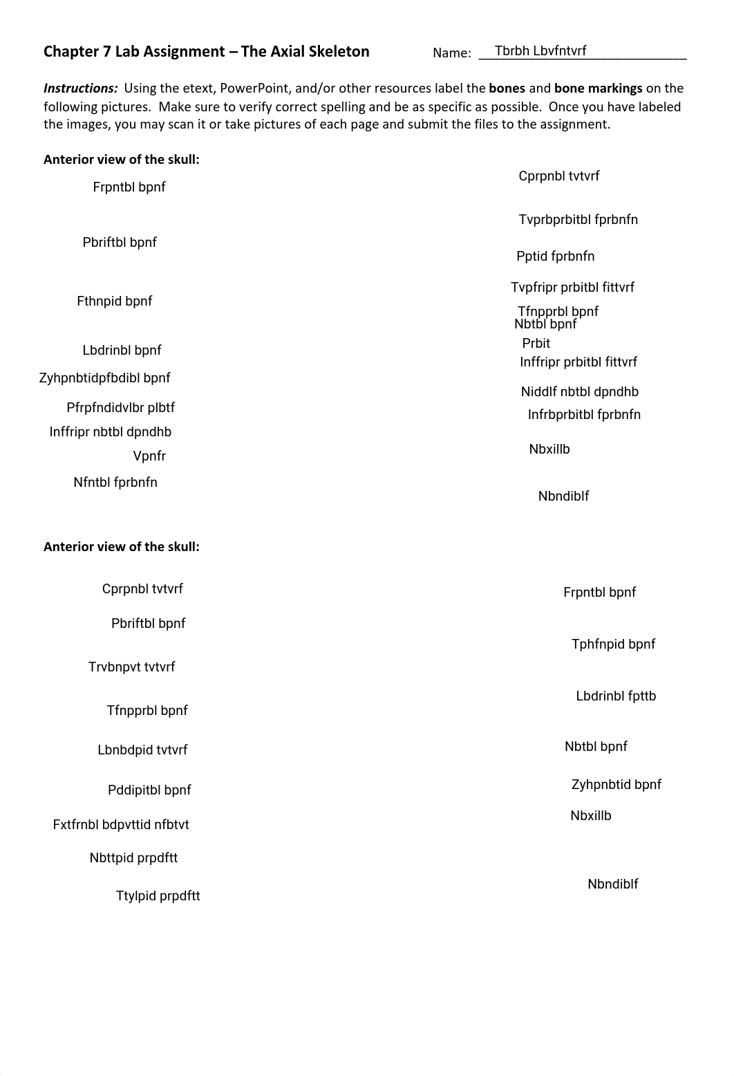 Chapter 7 Lab Assignment - Axial Skeleton labeling-1_-1992858148.pdf_ddsn75nbnqy_page1